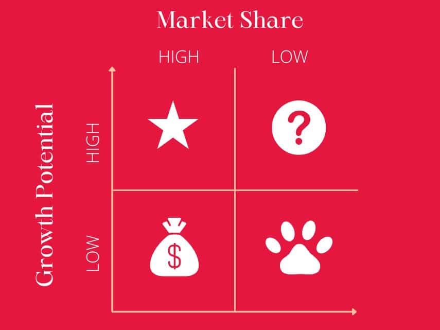 BCG growth share matrix