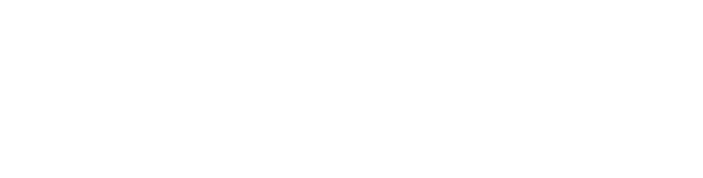 Unleashed Software an access company logo
